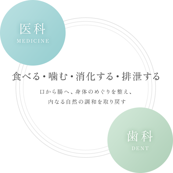 食べる・噛む・消化する・排泄する